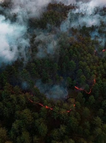 WhatsApp Image 2025-07-26 at 21.26.08
